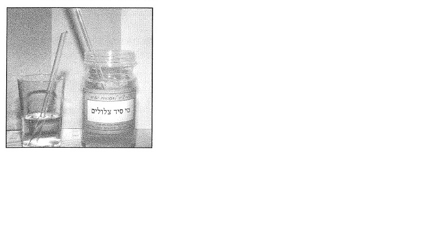 כוס מי סיד וכוס מי ברז